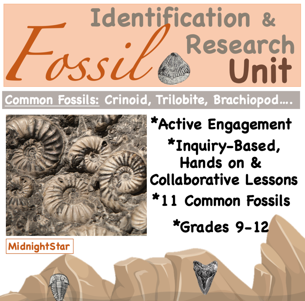 Fossil Identification and Research Unit